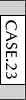 CASE.23