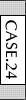 CASE.24