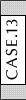 CASE13